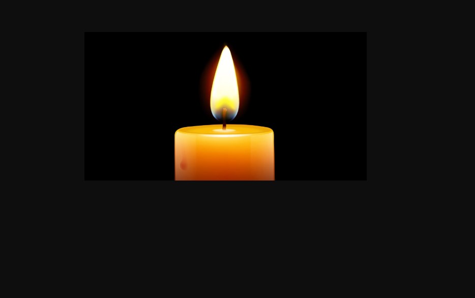 Meredith Allen Accident, Dyer Indiana Death - Goon Too Soon